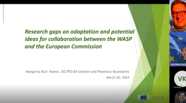 WASP Talk on Research gaps on adaptation and potential ideas for collaboration between the WASP and the European Commission