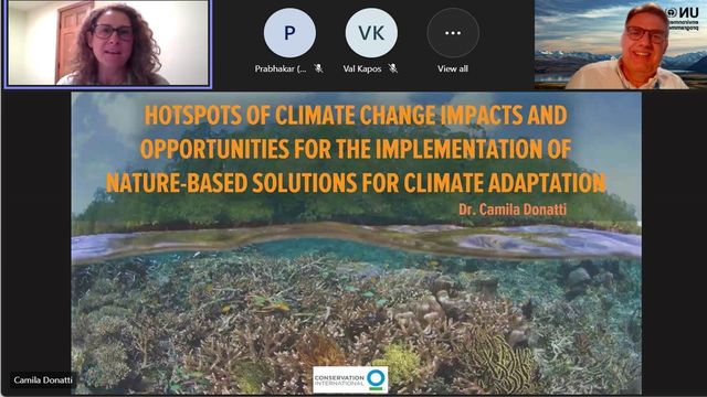 WASP Talk on NBS for Climate Adaptation by Camila Donatti