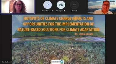 WASP Talk on Hotspots of climate change impacts and opportunities for the implementation of Nature-based solutions for climate adaptation