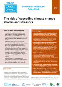 WASP Brief #5 - The risk of cascading climate change shocks and stressors
