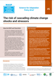 WASP Brief #5 - The risk of cascading climate change shocks and stressors