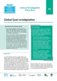 WASP Brief #6 - The Global Goal on Adaptation