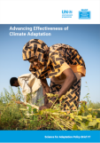 WASP Brief #7 - Advancing Effectiveness for Climate Adaptation