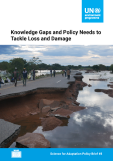 WASP Brief #8 - Knowledge Gaps and Policy Needs to Tackle Loss and Damage